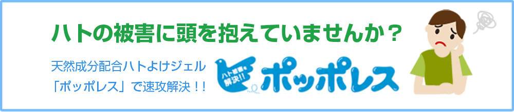 ポッポレスで解決！！　ハトの被害に頭を抱えていませんか？